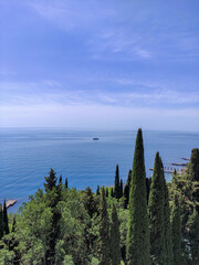 Black Sea coast. Crimea