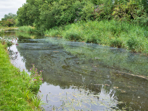 Surface pollution on the Leeds Liverpool Canal in Lancashire, England, UK