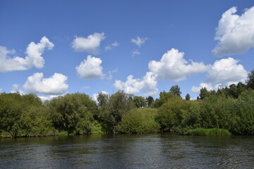Fototapeta na wymiar green trees and blue sky with clouds