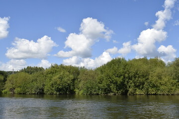 Obraz na płótnie Canvas green trees and blue sky with clouds