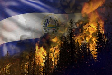 Forest fire fight concept, natural disaster - heavy fire in the woods on El Salvador flag background - 3D illustration of nature