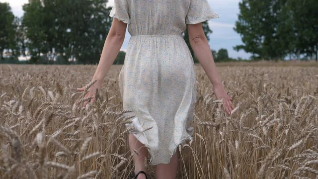 A beautiful young girl in a white long dress walks through a field