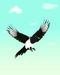 Illustration of a bird flying in the sky. Vector of a magpie bird flying in the dawn