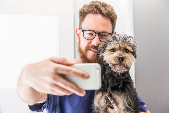 Smiling veterinarian taking selfie with Yorkshire Terrier