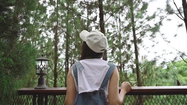 Asian woman wearing cap walking and looking up in pine forest