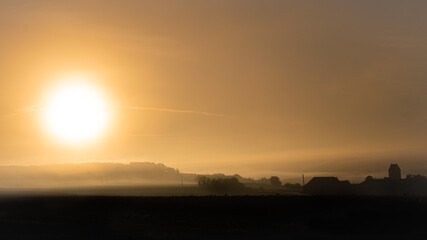 Cerseuil sous le levé de Soleil automnale