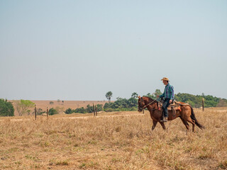 Cowboy is riding his horse on a cattle farm with very dry land