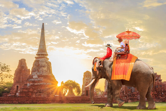  Tourists on an ride elephant tour of the ancient city in sunrise background