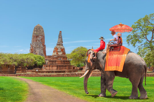  Tourists on an ride elephant tour of the ancient city