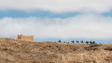 Overview of Avdat National Park in the Negev Desert in southern Israel
