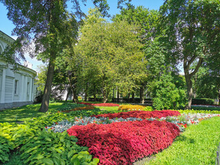 Obraz premium Flower beds in the park with coleus, hosta and plants with silver leaves on a sunny summer day.