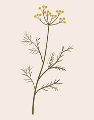 Vintage illustration of yellow wild flower. Medicinal herb. Branch with leaves. Botanic vector of forest flora. Hand drawn colorful floral element. Clipart for design and print