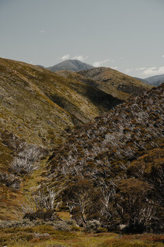 Mountain views at the start of the Razorback Hiking Trailhead to Mount Feathertop.