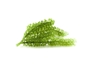 Oval sea grapes seaweed, Close up Green Caviar isolated on white background