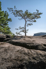 Eindr&uuml;cke aus der S&auml;chsischen Schweiz