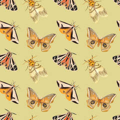Watercolor seamless pattern with hand drawn butterflies, moth. Beige background