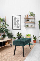 Living room interior with modern furniture and houseplants