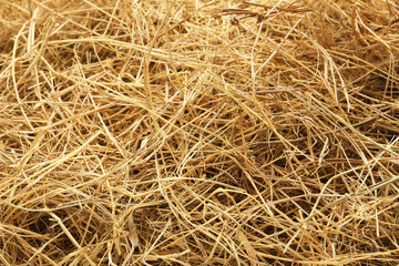 Dried grass hay as background, closeup view