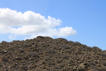 los cristianos guaza mountain