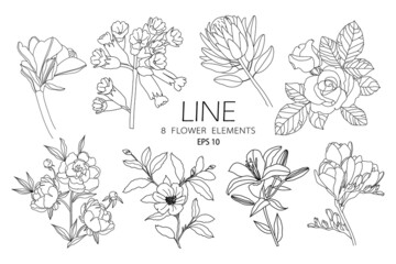Set of 8 line flowers. Good elements for your design. Vector illustration. Aquarius, primula, protea, rose, peony, magnolia, lily, freesia contour line flowers 