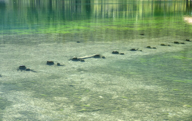 Reflections in the waters