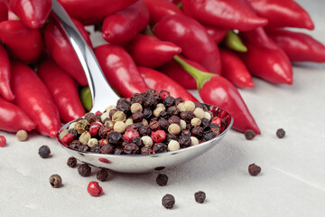 Chili pepper and metal spoon with red, black, white peppers on a gray concrete background. Selective focus.