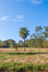 Tropical forest along the Papaturro River, Nicaragua