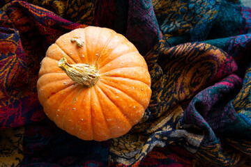 Bright orange pumpkin of rounded shape
