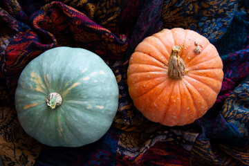 Bright fresh round-shaped pumpkins