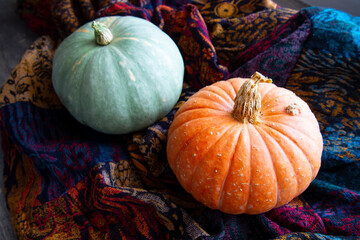 Bright fresh round-shaped pumpkins