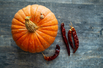 Bright orange pumpkin of rounded shape