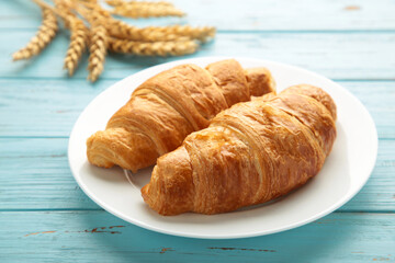 Freshly croissant with wheat on blue background
