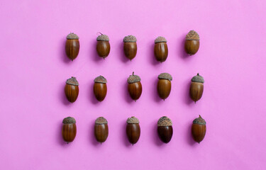 A flat composition of acorns in a square composition on a light pink background, an autumn concept. Decorative pattern made of natural organic dry acorns with space for copying. He was lying flat.