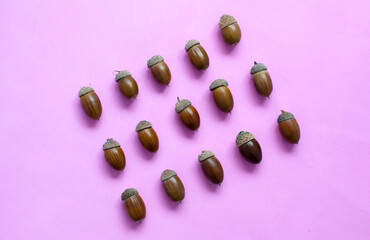 A flat composition of acorns in a square composition on a light pink background, an autumn concept. Decorative pattern made of natural organic dry acorns with space for copying. He was lying flat.