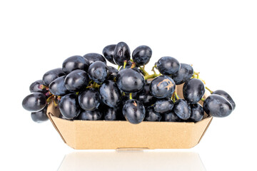 One bunch of sweet black grapes in a paper bowl, close-up, isolated on white.