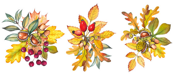Set of autumn bouquets with colorful leaves and berries. Watercolor isolated on white.