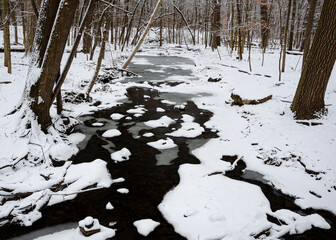 651-10 Hammel Creek in Winter