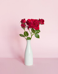 Beautiful red flowers in a vase © Olena Svechkova