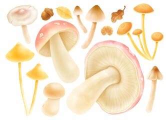 Mushroom with autumn elements illustration watercolor style collection - obrazy, fototapety, plakaty