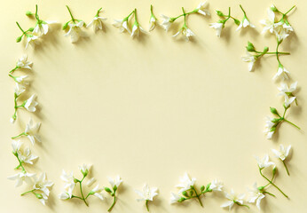Spring background with green plants and white flowers on a light paper background. Contrast and minimalism concept.
