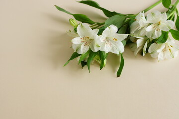 Flowers background with copy space. White flowers bouquet on beige background top view . Flowers template