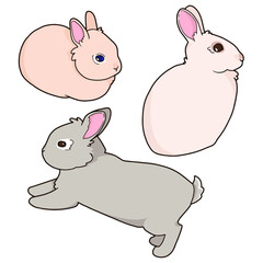 Set of illustrations of a rabbit. Spotted rabbits. White and brown rabbit. Cute animals. 