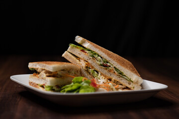 grilled sandwich with salad in black background