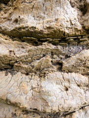 texture of the rock