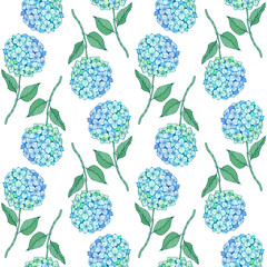 Hydrangea flower seamless pattern. Blue green petals, stem and leaves on white. Vector texture for print, fabric, textile, wallpaper.