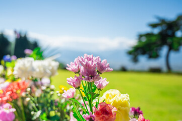 お供えの花