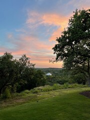 sunset in the forest