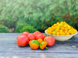 Organic red and yellow tomatoes food backgrounds.