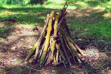 Brushwood for campfire . Log for picnic fire 