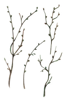 Watercolor hand drawn tree branche isolated on white background, sticks and twigs silhouette of a bare tree. The formation of the young tree trunk.